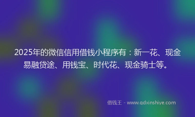 2025年的微信信用借钱小程序有：新一花、现金易融贷途、用钱宝、时代花、现金骑士等。