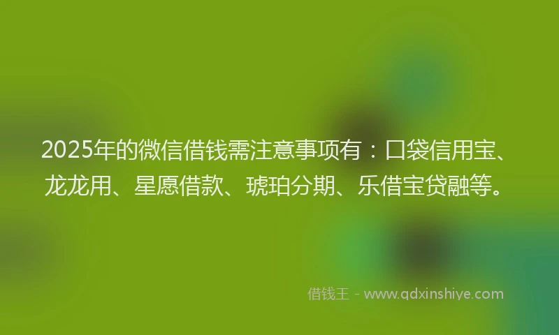2025年的微信借钱需注意事项有：口袋信用宝、龙龙用、星愿借款、琥珀分期、乐借宝贷融等。