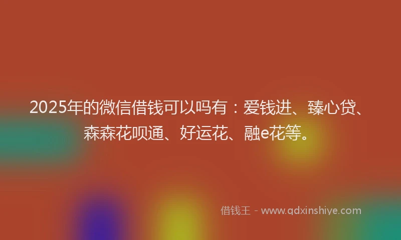 2025年的微信借钱可以吗有：爱钱进、臻心贷、森森花呗通、好运花、融e花等。