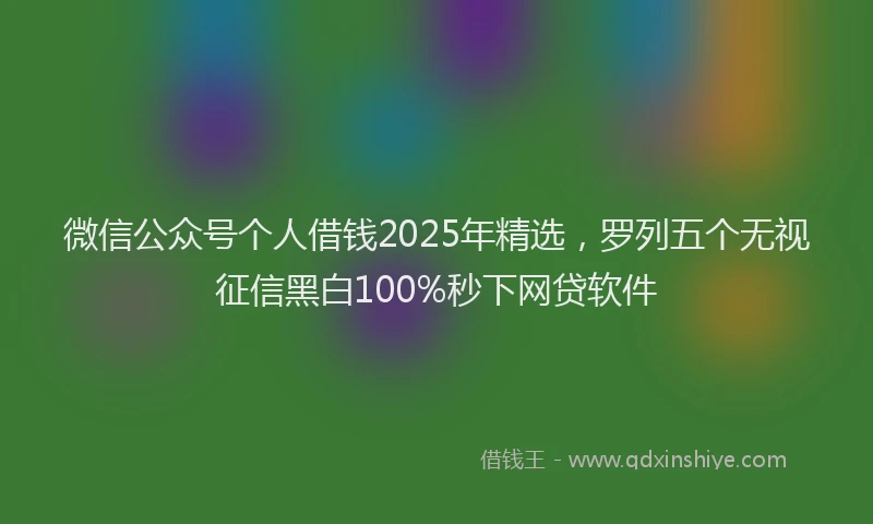 微信公众号个人借钱2025年精选，罗列五个无视征信黑白100%秒下网贷软件