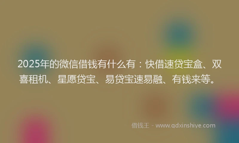 2025年的微信借钱有什么有：快借速贷宝盒、双喜租机、星愿贷宝、易贷宝速易融、有钱来等。
