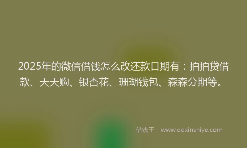2025年的微信借钱怎么改还款日期有：拍拍贷借款、天天购、银杏花、珊瑚钱包、森森分期等。