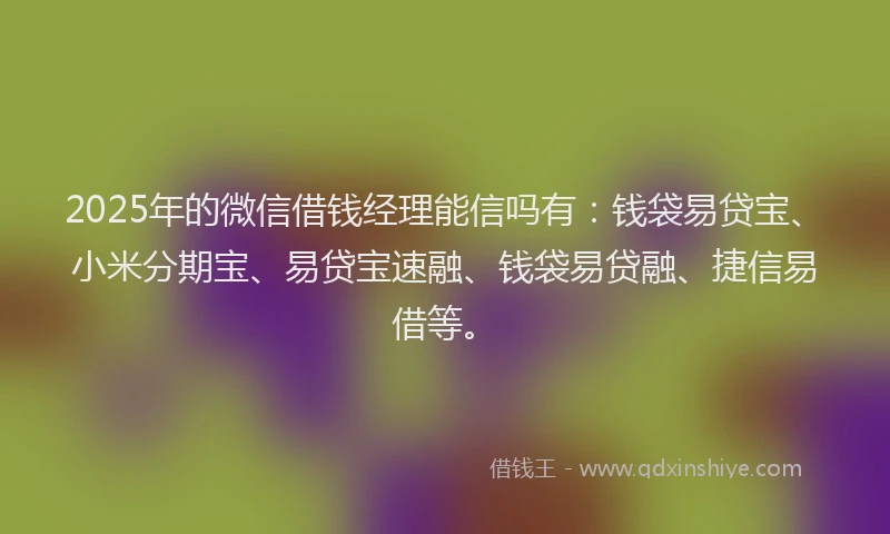 2025年的微信借钱经理能信吗有：钱袋易贷宝、小米分期宝、易贷宝速融、钱袋易贷融、捷信易借等。