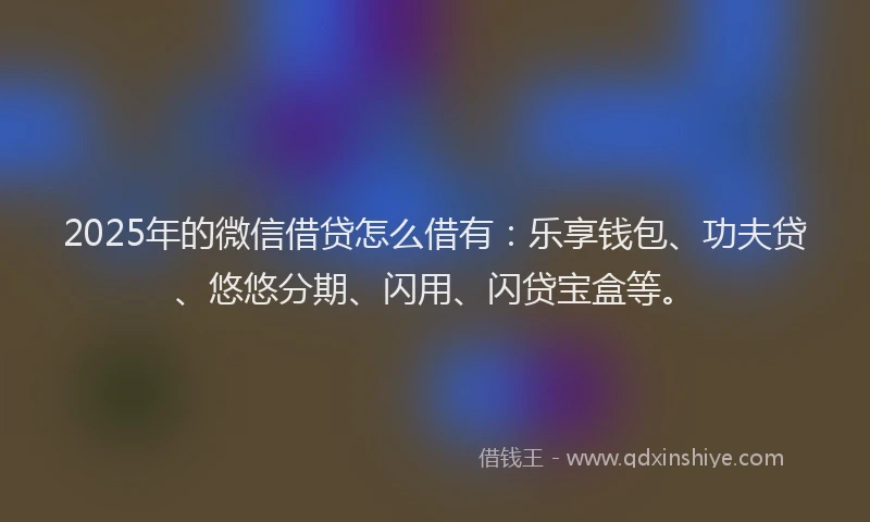 2025年的微信借贷怎么借有：乐享钱包、功夫贷、悠悠分期、闪用、闪贷宝盒等。