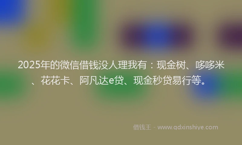 2025年的微信借钱没人理我有：现金树、哆哆米、花花卡、阿凡达e贷、现金秒贷易行等。