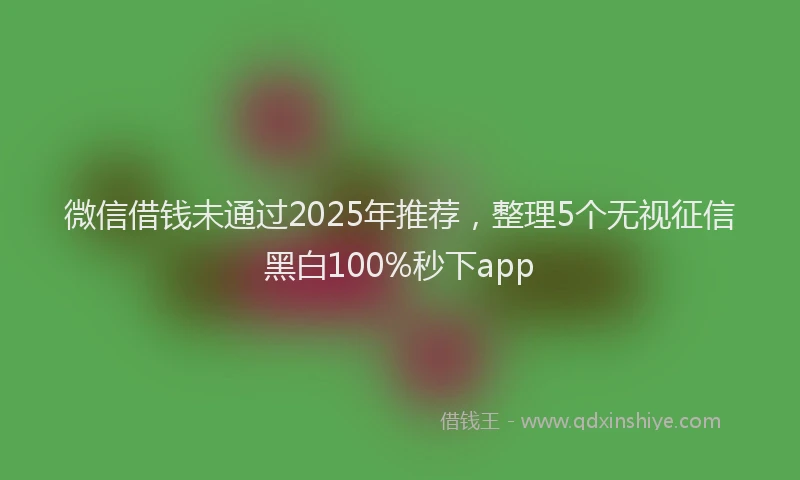 微信借钱未通过2025年推荐，整理5个无视征信黑白100%秒下app