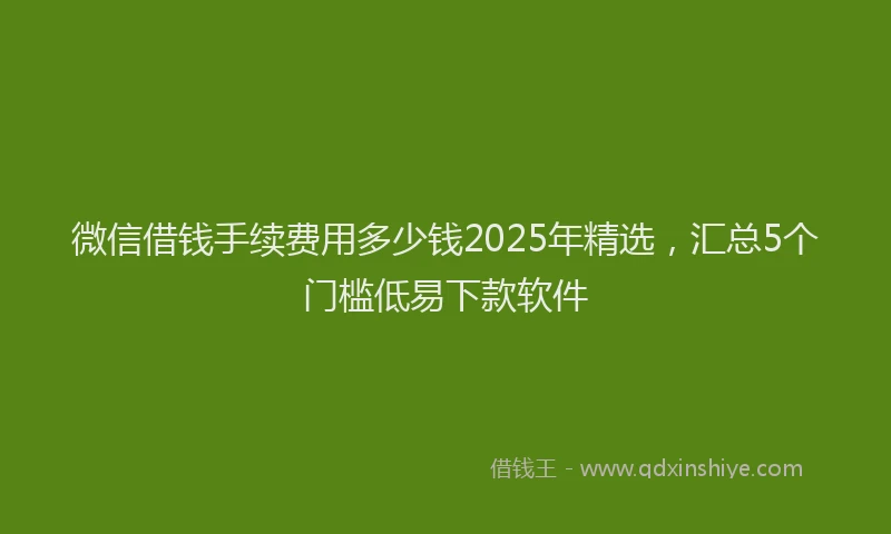 微信借钱手续费用多少钱2025年精选，汇总5个门槛低易下款软件