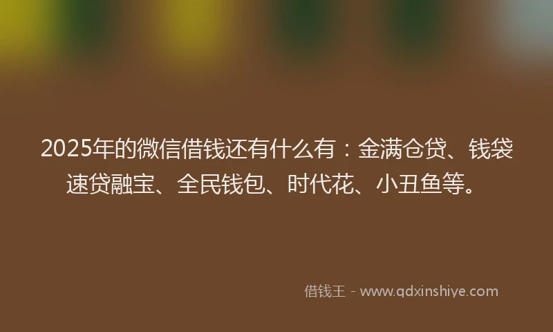 2025年的微信借钱还有什么有：金满仓贷、钱袋速贷融宝、全民钱包、时代花、小丑鱼等。