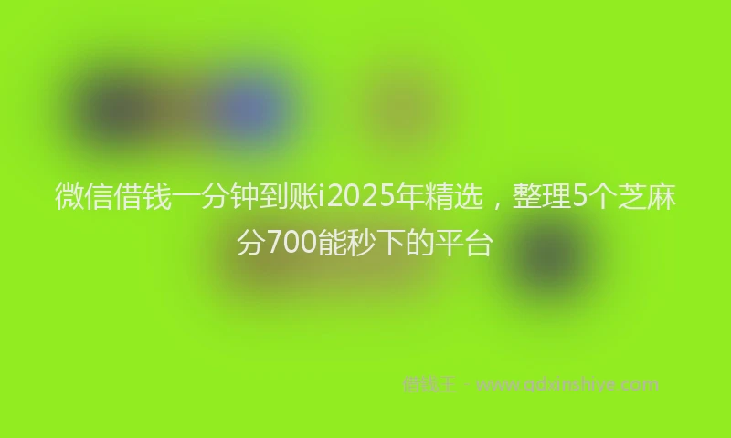 微信借钱一分钟到账i2025年精选，整理5个芝麻分700能秒下的平台