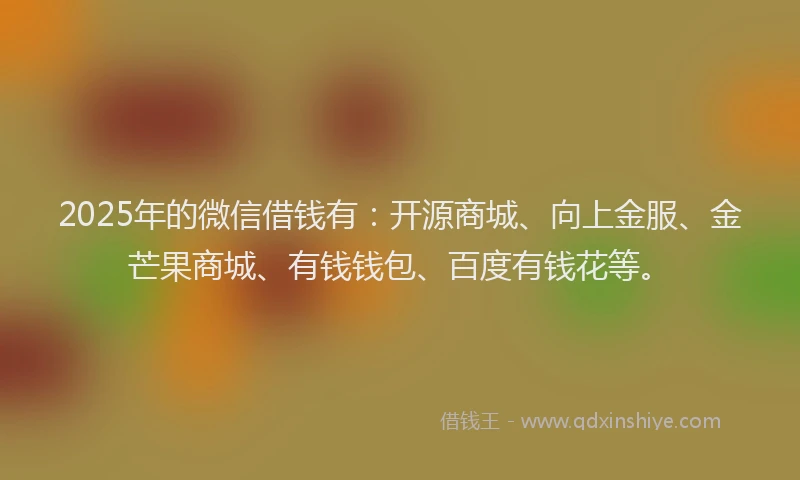 2025年的微信借钱有：开源商城、向上金服、金芒果商城、有钱钱包、百度有钱花等。