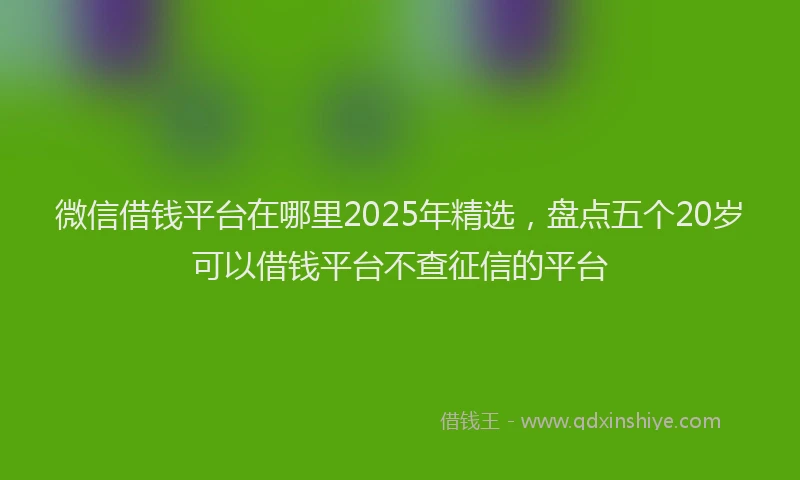 微信借钱平台在哪里2025年精选，盘点五个20岁可以借钱平台不查征信的平台