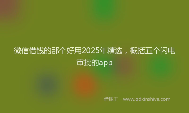 微信借钱的那个好用2025年精选，概括五个闪电审批的app