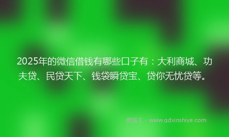 2025年的微信借钱有哪些口子有：大利商城、功夫贷、民贷天下、钱袋瞬贷宝、贷你无忧贷等。
