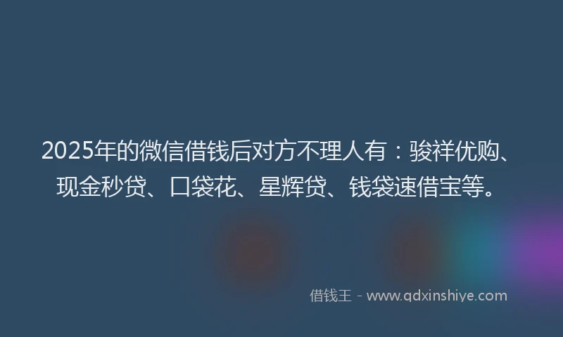 2025年的微信借钱后对方不理人有：骏祥优购、现金秒贷、口袋花、星辉贷、钱袋速借宝等。