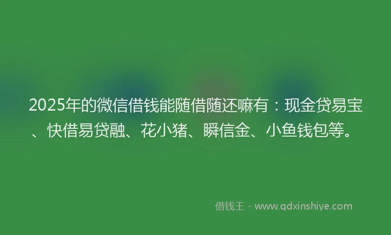 2025年的微信借钱能随借随还嘛有：现金贷易宝、快借易贷融、花小猪、瞬信金、小鱼钱包等。