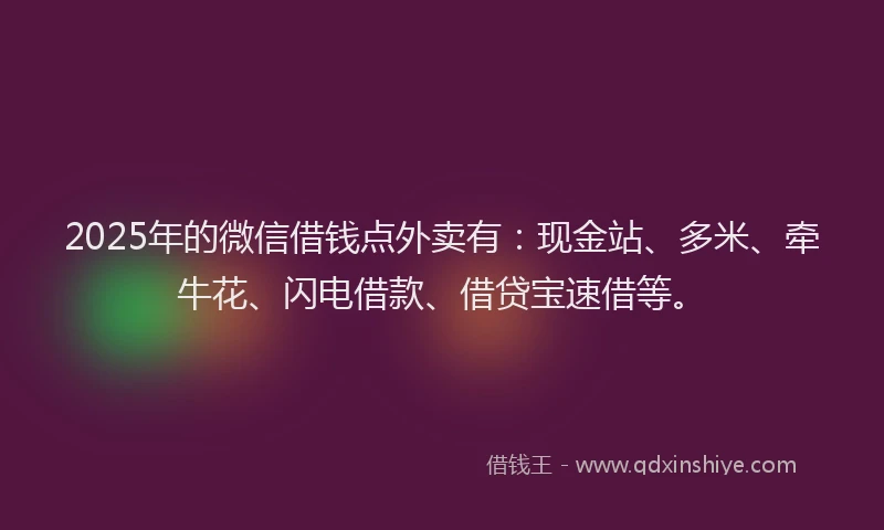 2025年的微信借钱点外卖有：现金站、多米、牵牛花、闪电借款、借贷宝速借等。