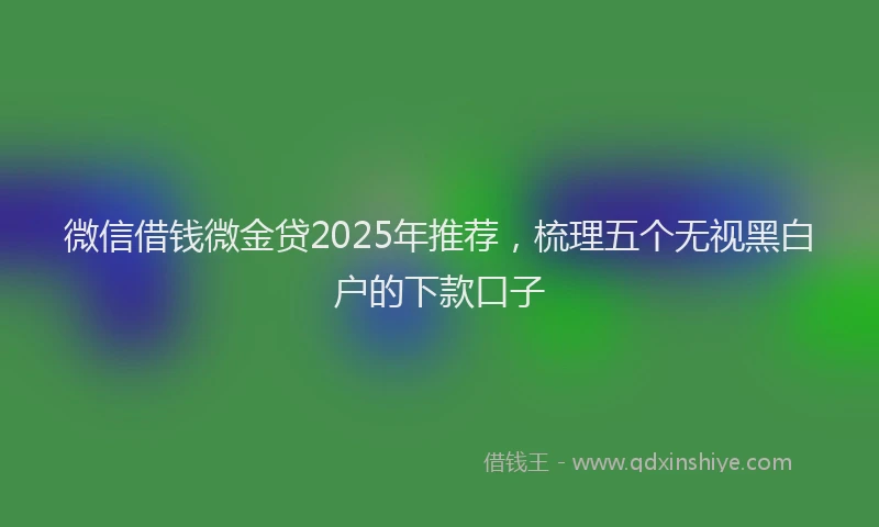 微信借钱微金贷2025年推荐，梳理五个无视黑白户的下款口子