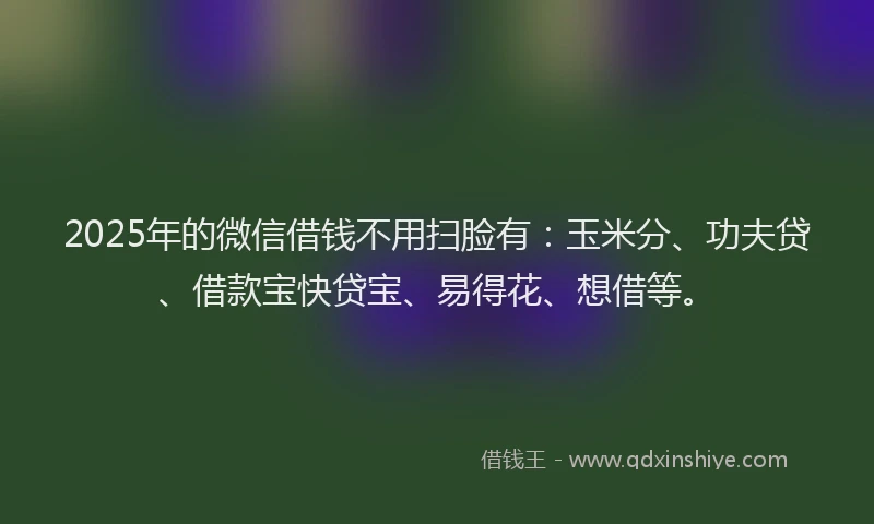 2025年的微信借钱不用扫脸有：玉米分、功夫贷、借款宝快贷宝、易得花、想借等。