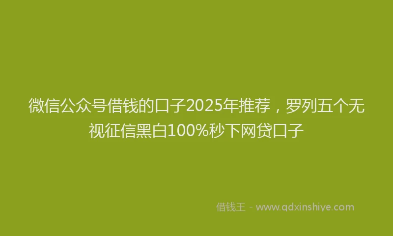 微信公众号借钱的口子2025年推荐，罗列五个无视征信黑白100%秒下网贷口子