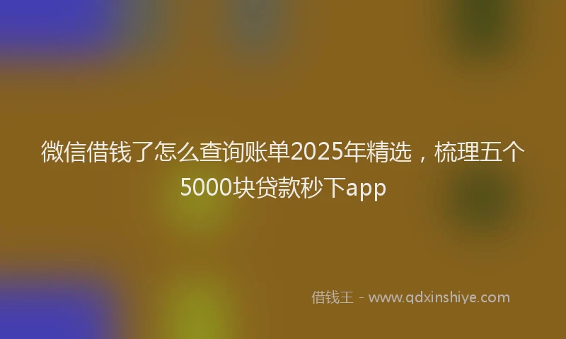 微信借钱了怎么查询账单2025年精选，梳理五个5000块贷款秒下app