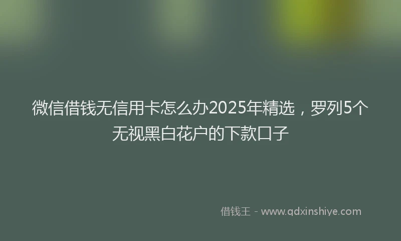 微信借钱无信用卡怎么办2025年精选，罗列5个无视黑白花户的下款口子
