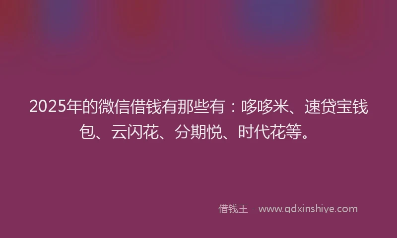 2025年的微信借钱有那些有：哆哆米、速贷宝钱包、云闪花、分期悦、时代花等。