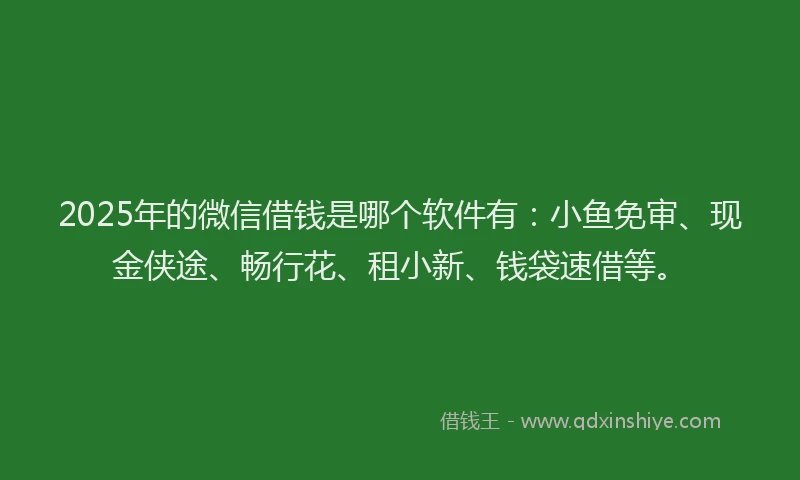 2025年的微信借钱是哪个软件有：小鱼免审、现金侠途、畅行花、租小新、钱袋速借等。