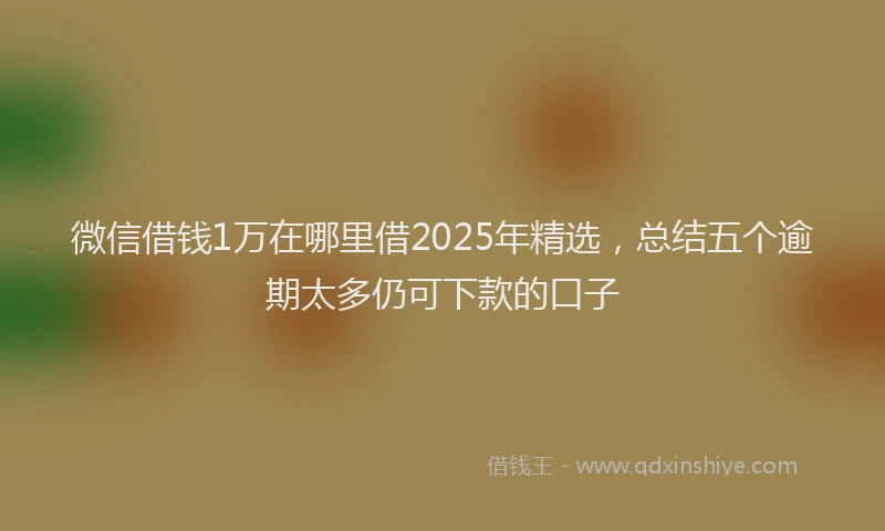 微信借钱1万在哪里借2025年精选，总结五个逾期太多仍可下款的口子