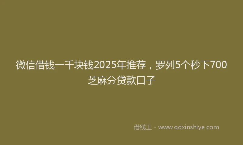 微信借钱一千块钱2025年推荐，罗列5个秒下700芝麻分贷款口子