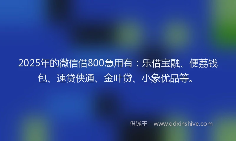 2025年的微信借800急用有：乐借宝融、便荔钱包、速贷侠通、金叶贷、小象优品等。