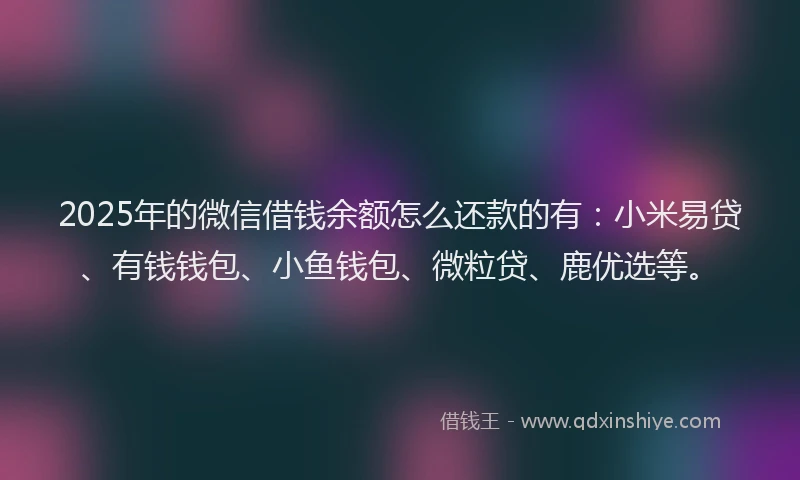 2025年的微信借钱余额怎么还款的有：小米易贷、有钱钱包、小鱼钱包、微粒贷、鹿优选等。