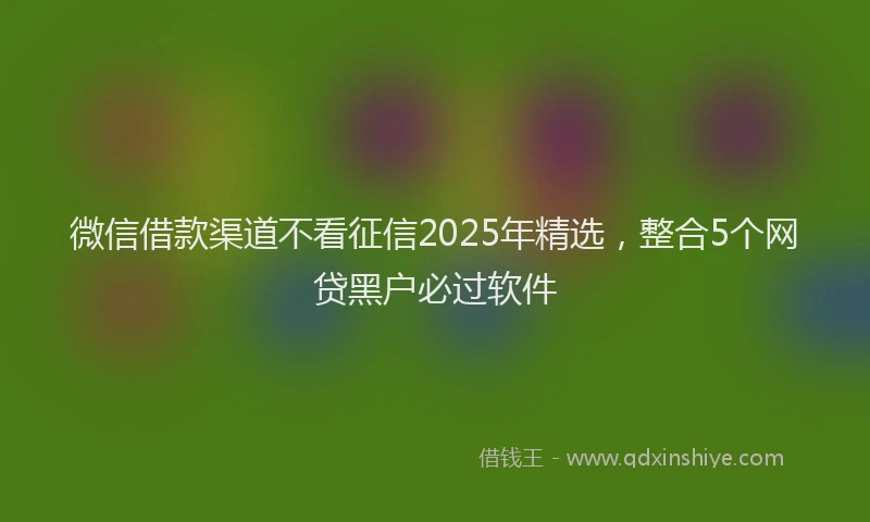 微信借款渠道不看征信2025年精选，整合5个网贷黑户必过软件