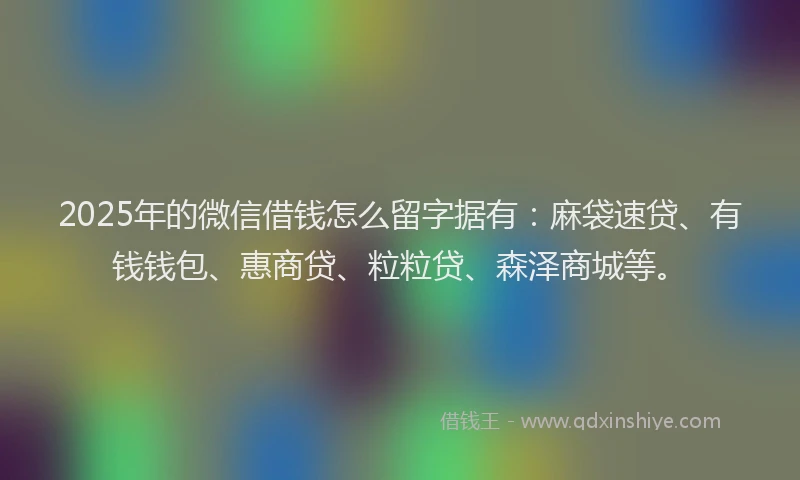 2025年的微信借钱怎么留字据有：麻袋速贷、有钱钱包、惠商贷、粒粒贷、森泽商城等。