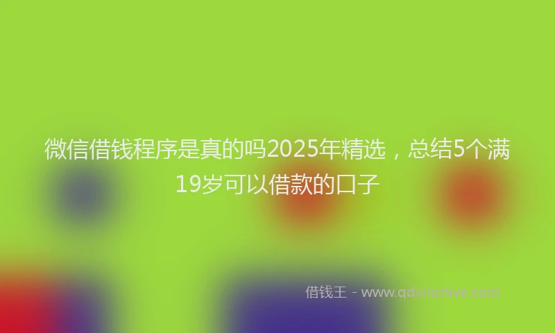 微信借钱程序是真的吗2025年精选，总结5个满19岁可以借款的口子