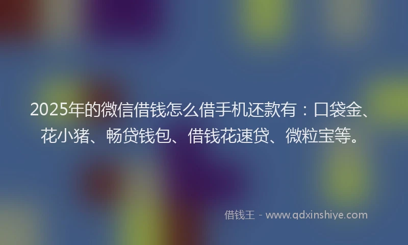 2025年的微信借钱怎么借手机还款有：口袋金、花小猪、畅贷钱包、借钱花速贷、微粒宝等。