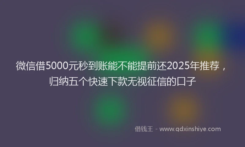 微信借5000元秒到账能不能提前还2025年推荐，归纳五个快速下款无视征信的口子