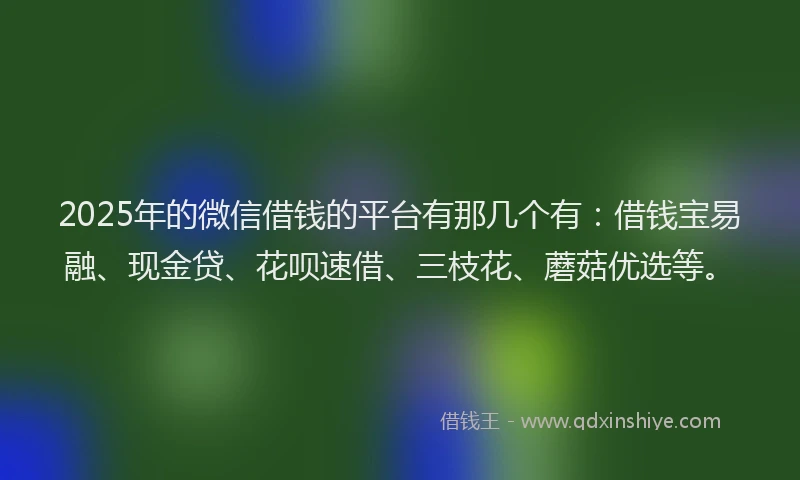 2025年的微信借钱的平台有那几个有：借钱宝易融、现金贷、花呗速借、三枝花、蘑菇优选等。
