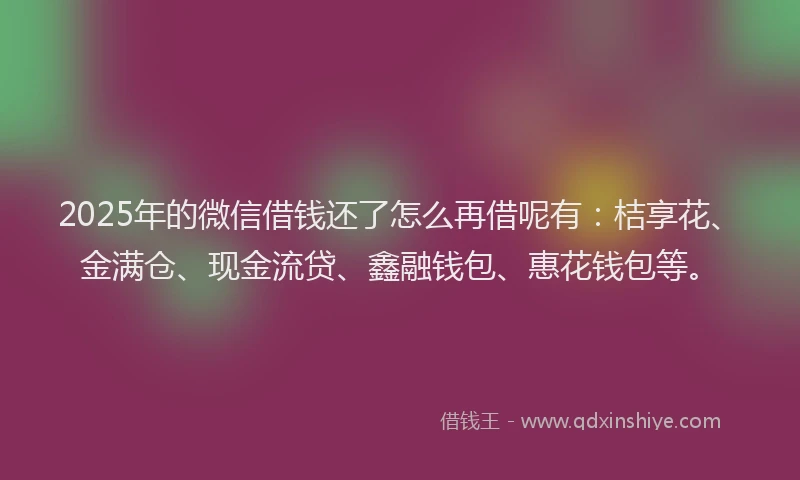 2025年的微信借钱还了怎么再借呢有：桔享花、金满仓、现金流贷、鑫融钱包、惠花钱包等。