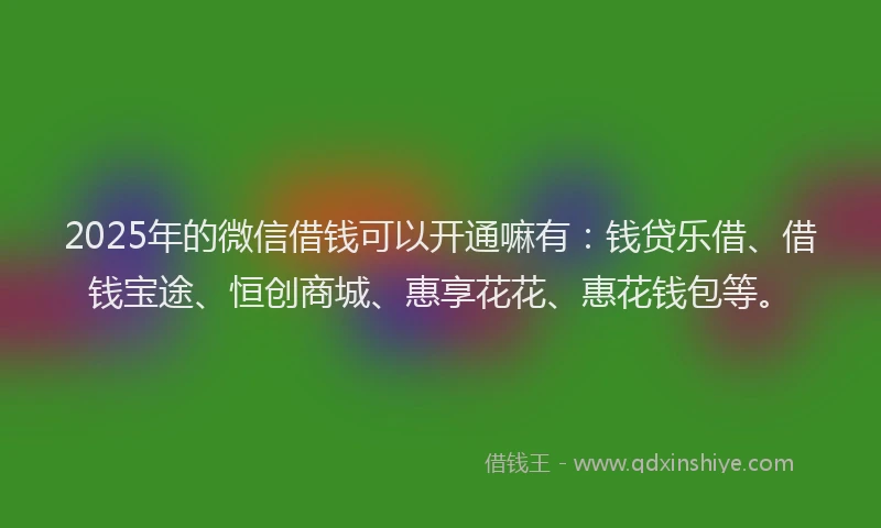 2025年的微信借钱可以开通嘛有：钱贷乐借、借钱宝途、恒创商城、惠享花花、惠花钱包等。