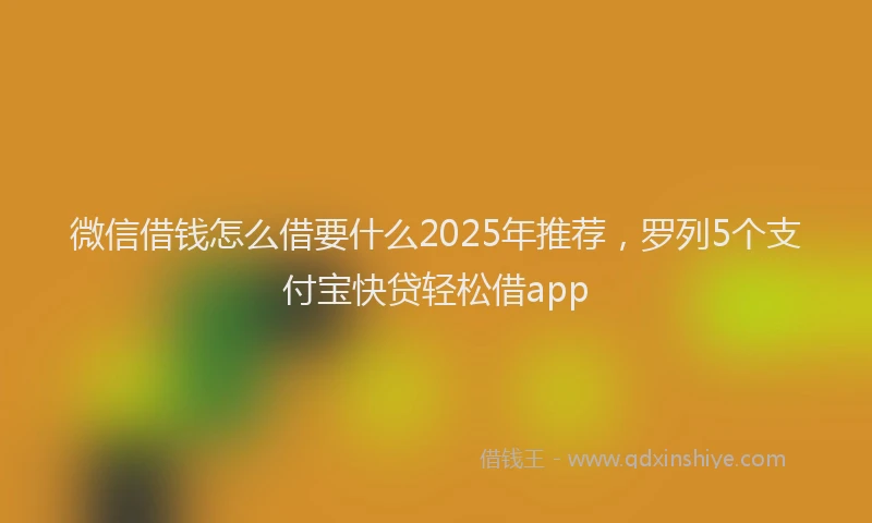 微信借钱怎么借要什么2025年推荐，罗列5个支付宝快贷轻松借app