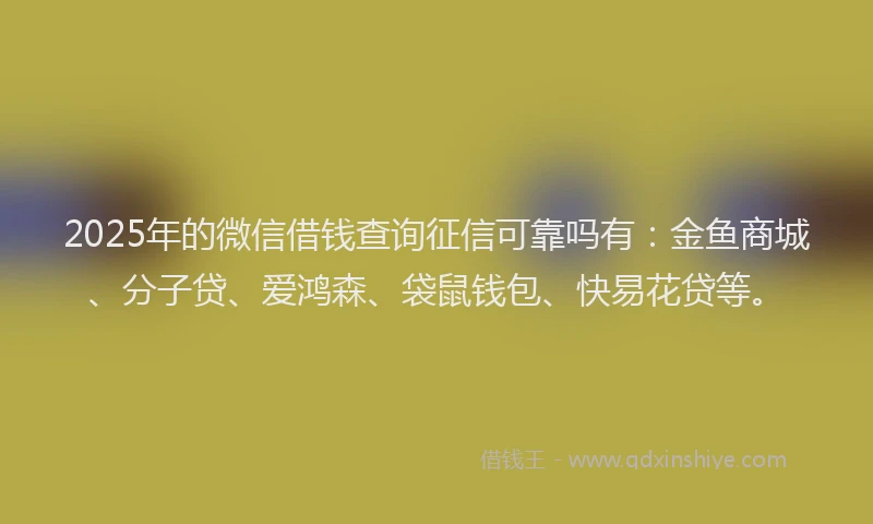 2025年的微信借钱查询征信可靠吗有：金鱼商城、分子贷、爱鸿森、袋鼠钱包、快易花贷等。