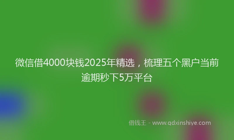 微信借4000块钱2025年精选，梳理五个黑户当前逾期秒下5万平台