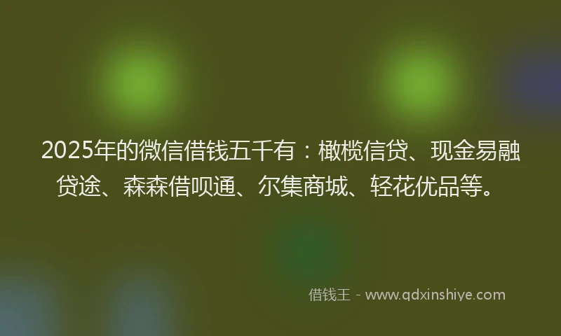 2025年的微信借钱五千有：橄榄信贷、现金易融贷途、森森借呗通、尔集商城、轻花优品等。