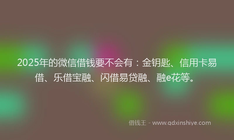 2025年的微信借钱要不会有：金钥匙、信用卡易借、乐借宝融、闪借易贷融、融e花等。
