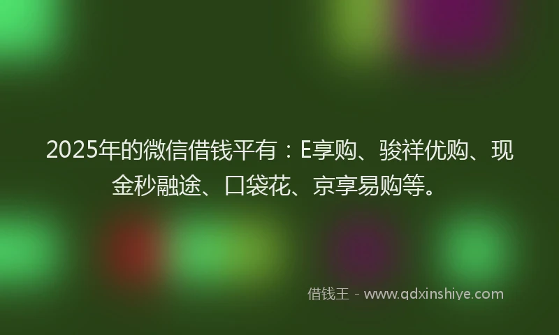 2025年的微信借钱平有：E享购、骏祥优购、现金秒融途、口袋花、京享易购等。