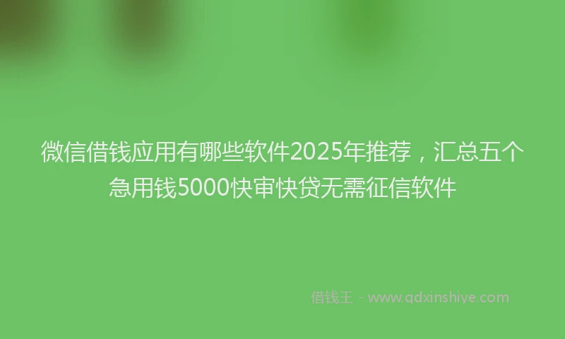 微信借钱应用有哪些软件2025年推荐，汇总五个急用钱5000快审快贷无需征信软件