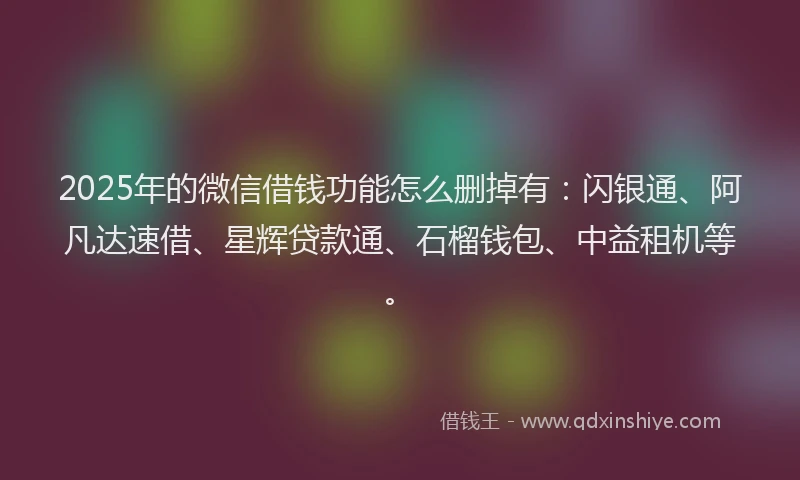 2025年的微信借钱功能怎么删掉有：闪银通、阿凡达速借、星辉贷款通、石榴钱包、中益租机等。