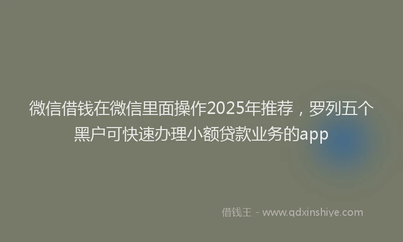 微信借钱在微信里面操作2025年推荐，罗列五个黑户可快速办理小额贷款业务的app