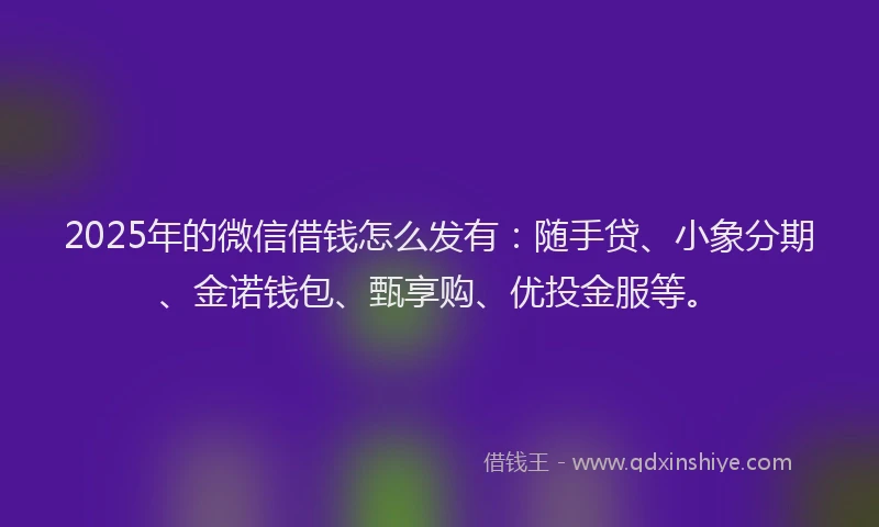 2025年的微信借钱怎么发有：随手贷、小象分期、金诺钱包、甄享购、优投金服等。