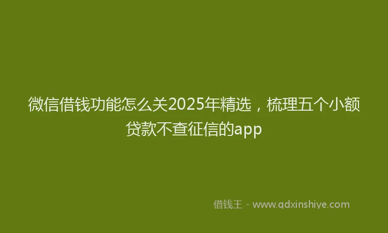 微信借钱功能怎么关2025年精选，梳理五个小额贷款不查征信的app